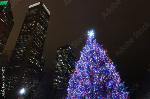 Lit up tree in Chicago