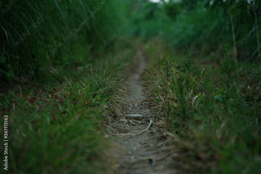 footpath in the countryside footpath in the countryside