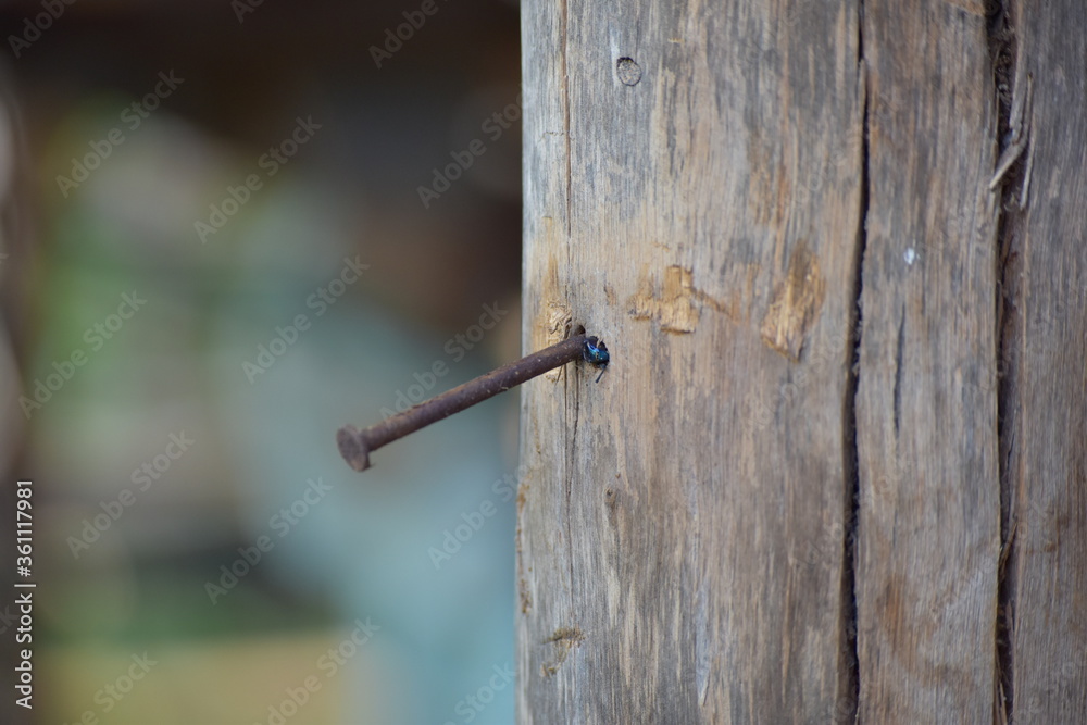 nails on wood nails on wood
