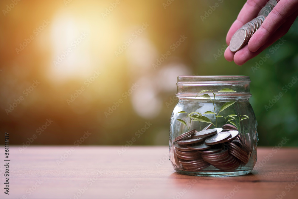 Hand putting coins with plant growth on coins stacking inside of jar with greenery background.Dividend of Banking Deposit and stock investment concept. Hand putting coins with plant growth on coins stacking inside of jar with greenery background.Dividend of Banking Deposit and stock investment concept.