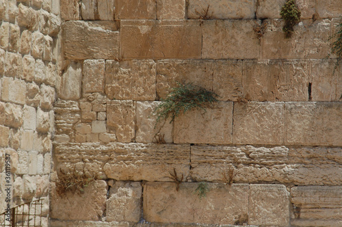 Western Wall. Jerusalem.