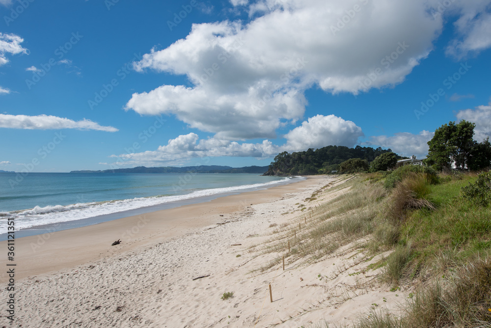 Coromandel Beach at New Zealand / Coromandel Strand in Neuseeland