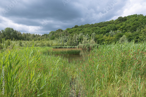 Landscape photo of nature in Steendorp a village in East Flanders in Belgium photo