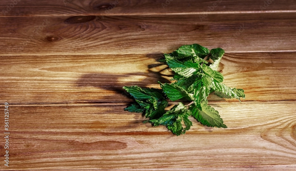 Bunch of fresh mint on the wooden table Indoors, medicine Bunch of fresh mint on the wooden table Indoors, medicine