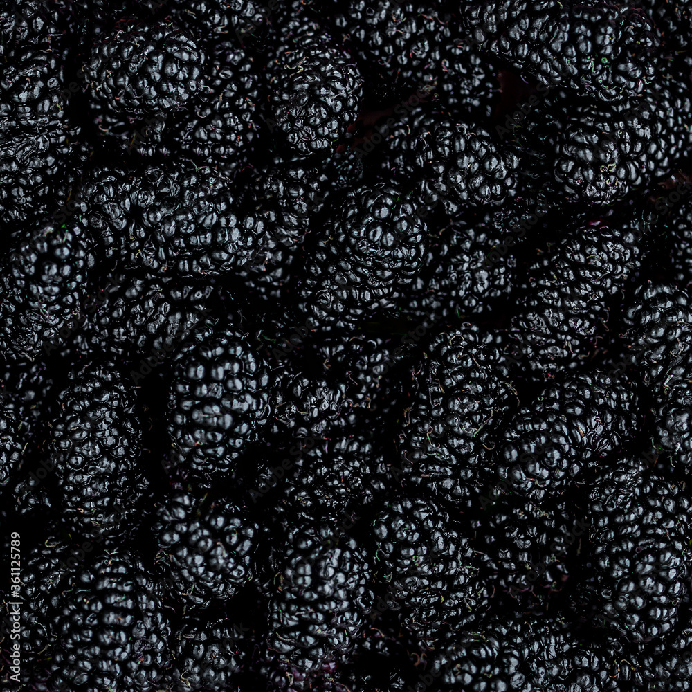 Mulberry background. Mulberry summer fruit close up. Fresh Mulberrys top view. Black Berries Backdrop Mulberry background. Mulberry summer fruit close up. Fresh Mulberrys top view. Black Berries Backdrop