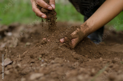 Hand of farmer pouring soil checking quality prepare sowing seed and grow vegetable