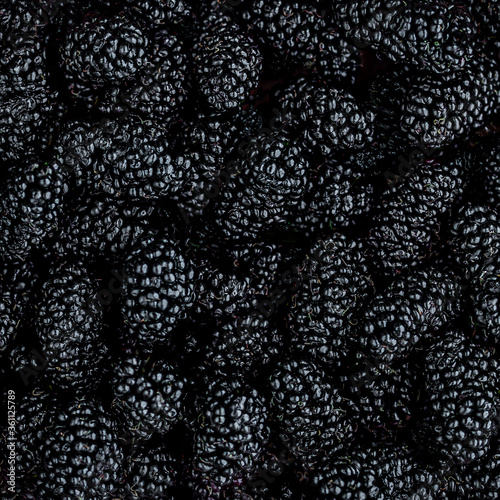 Mulberry background. Mulberry summer fruit close up. Fresh Mulberrys top view. Black Berries Backdrop