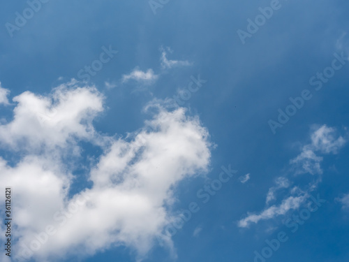 The dog sky is bright with blue sky and see beautiful clouds work as a background.