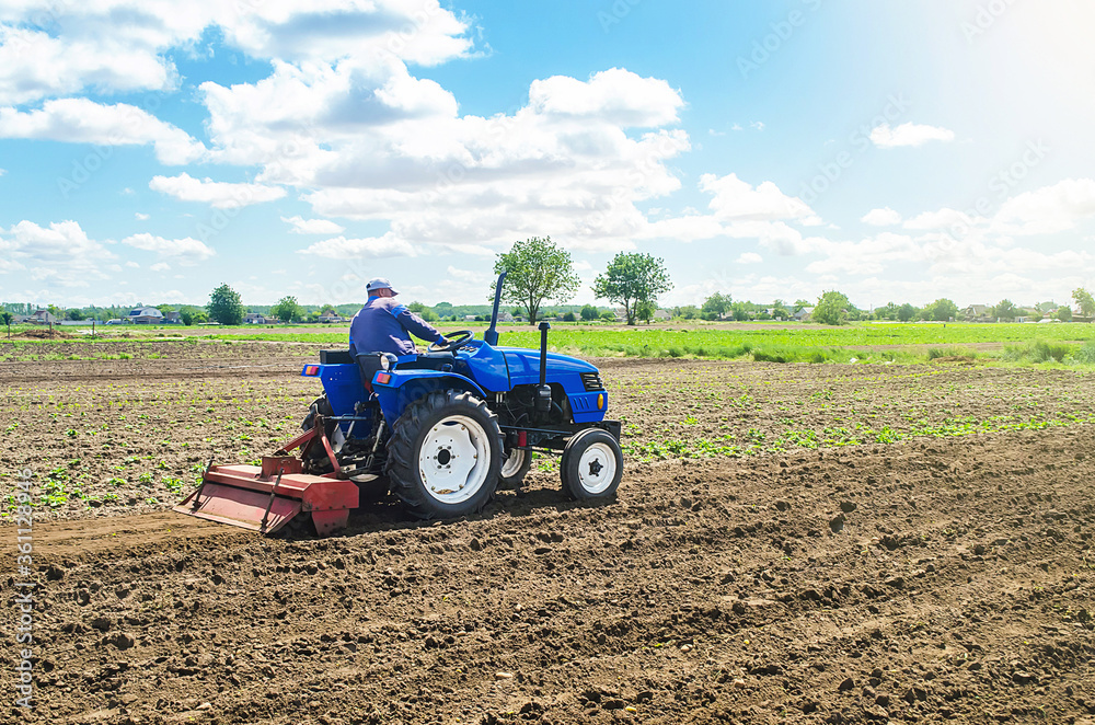 Fototapeta Rolnik na traktorze frezuje ziemię za pomocą wyposażenia frezarki. Rozdrabnianie, spulchnianie gleby, usuwanie roślin i korzeni z ostatnich zbiorów. Uprawa warzyw. Rozdrabnianie i mieszanie ziemi.