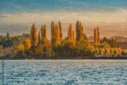 Fototapeta Naklejka Na Ścianę i Meble -  Autumn tree near kawaguchiko lake at sunset.