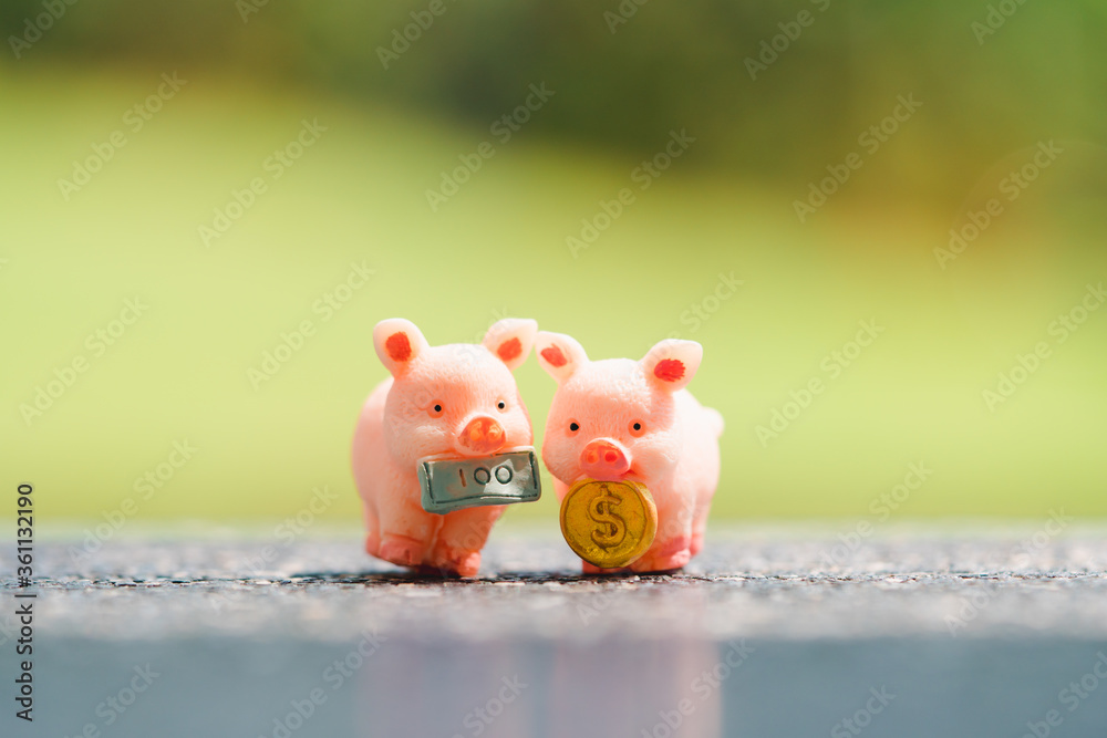 Closeup couple Piggy Bank with on blurry background using as money saving and business concept Closeup couple Piggy Bank with on blurry background using as money saving and business concept