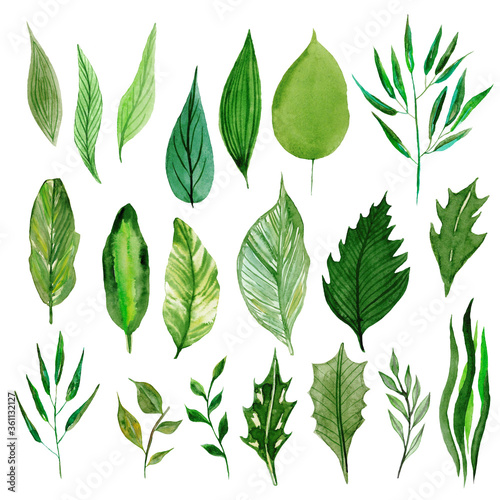 A set of watercolor leaves and branches. Lovely design elements to make your own patterns, laurels and compositions. Great for wedding or invitations. Vector watercolor.