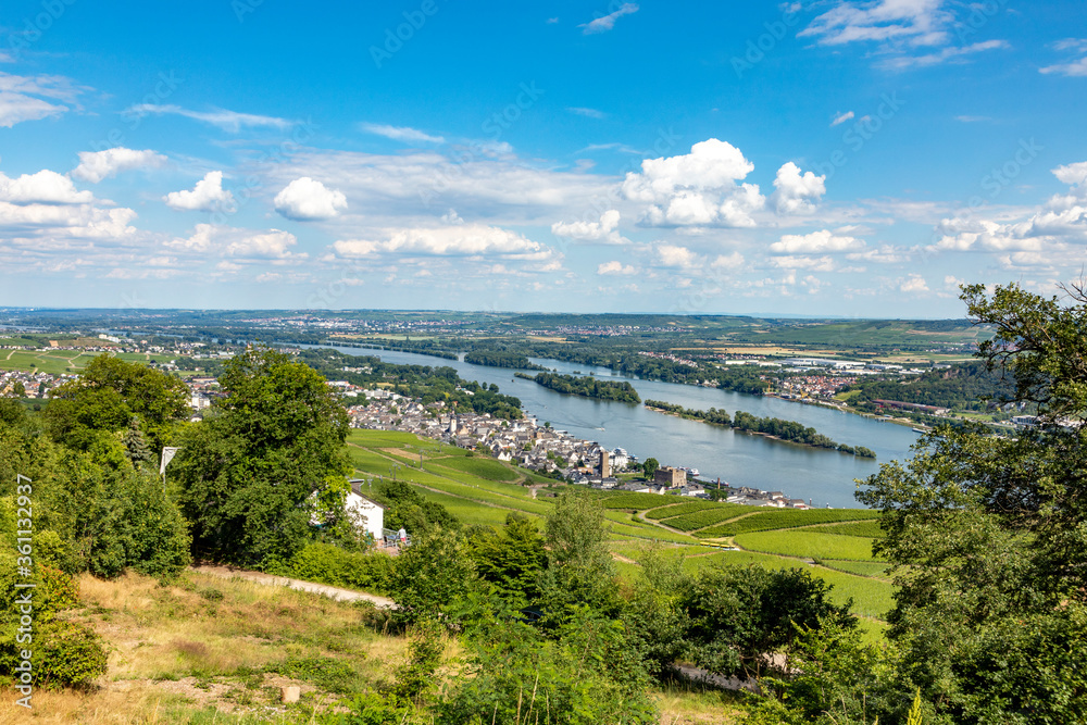 aerial view to scenic vineyards in Ruedesheim