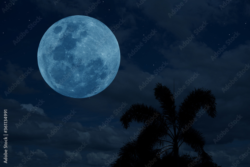 Full moon over silhouette trees at night. Full moon over silhouette trees at night.