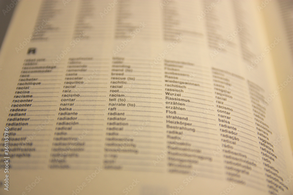 Word racism in different languages highlighted on a vocabulary sheet Word racism in different languages highlighted on a vocabulary sheet