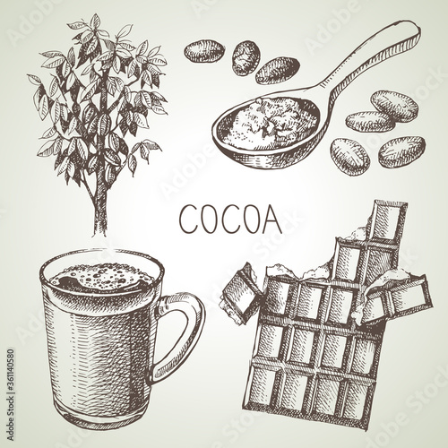 Hand drawn sketch cocoa chocolate product set. Vintage vector illustration of natural healthy food