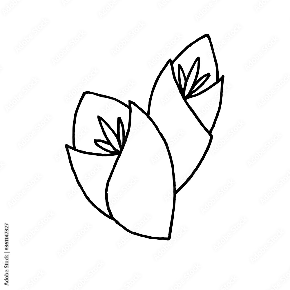 Drawn stylized tulip buds. Black and white vector image. Idea for packaging, logo, icons, print. Isolated on a white background.