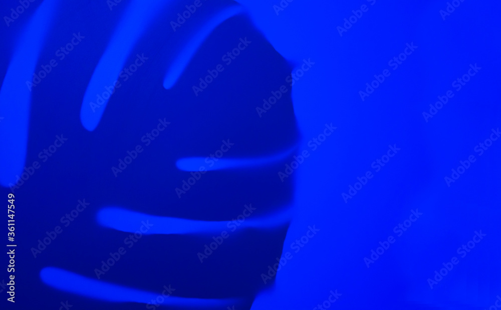Shadow of a monstera leaf on a blue background. Creative background.
Shadow of a monstera leaf on a blue background. Creative background.