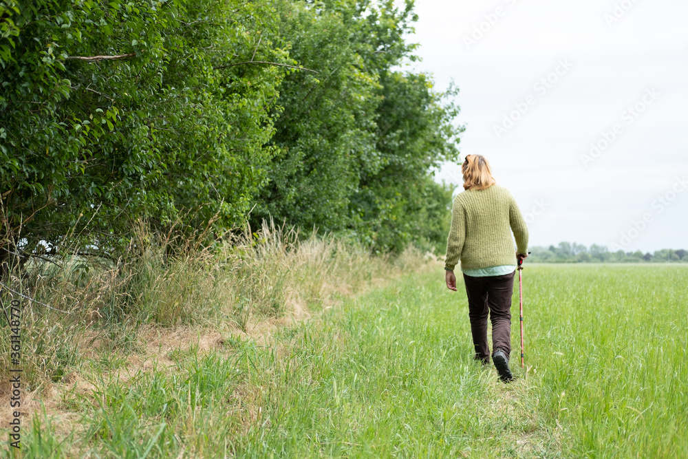 Distant woman walker seen with a walking pole during a hike in the English countryside.