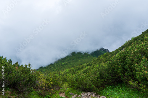 foggy morning at mountains   slovakia west tatras sivy vrch