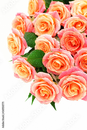 Isolated bouquet of roses on white background