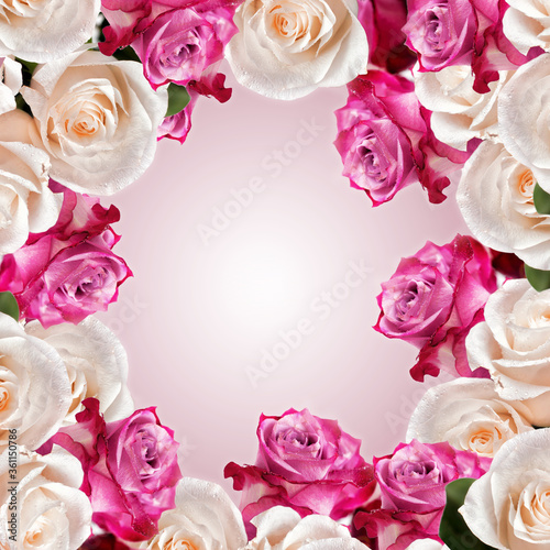 frame of roses