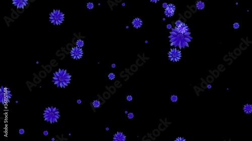 Beautiful blue flowers flow on black background. Flower particles. 3D animation
