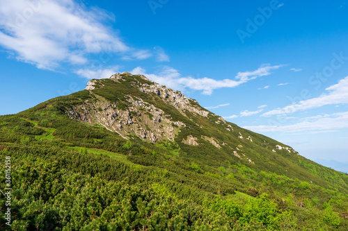 Panoramic photo of summer mountain of Tatra ridge, Slovakia, summer in the mountains. Travel and hike