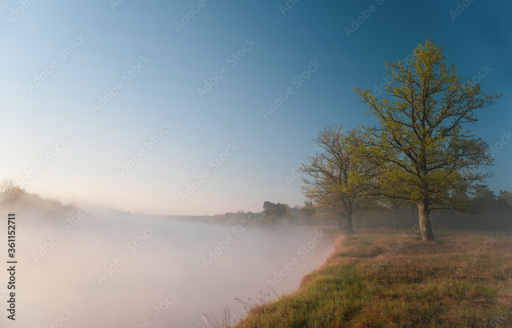 early morning by the river early morning by the river