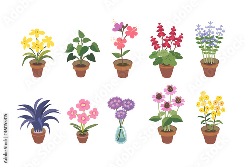 Indoor and outdoor garden potted plants. There are hemerocallis, hosta, hibiscus, heuchera, nepeta, black grass, dianthus, allium, echinacea and phloxes.