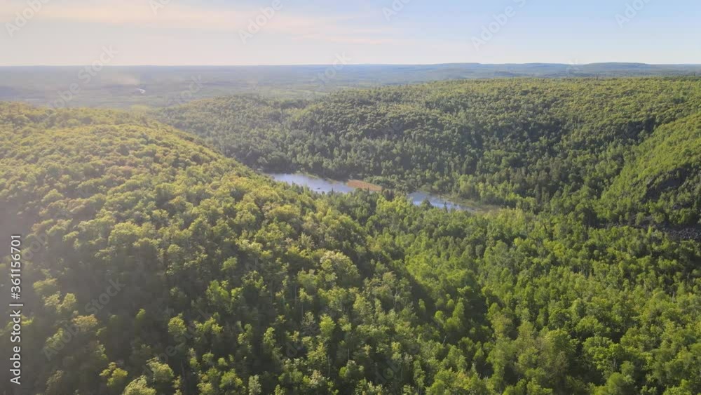 Aerial view of a National forest in Minnesota during summer time, aerial view Aerial view of a National forest in Minnesota during summer time, aerial view