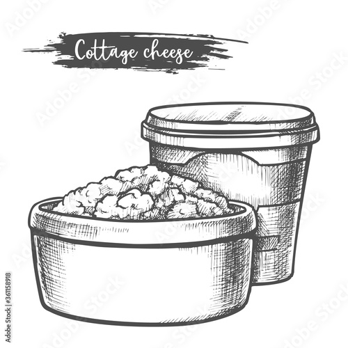 Dairy products, cottage cheese sketch, milk food