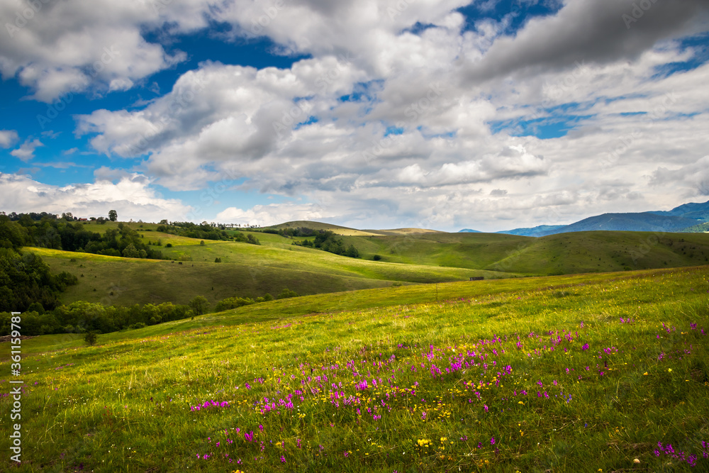 Beautiful hills and meadows on Zlatibor mountain in Serbia at the morning