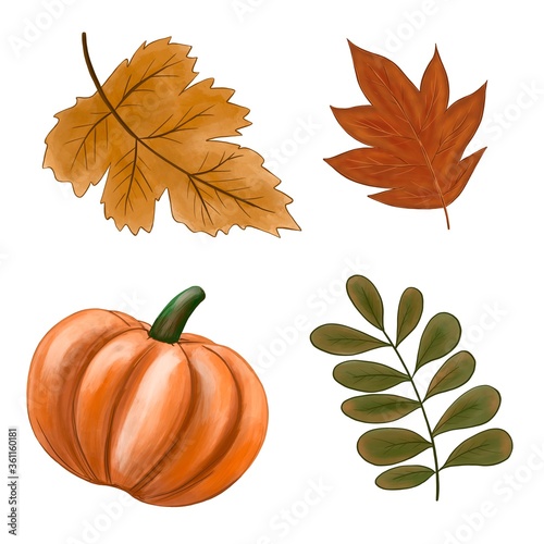 Set with autumn leaves and pumpkin. Isolated on a white background. Collection of autumn items for design.