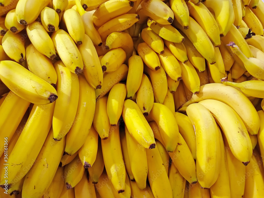 a new crop of ripe yellow bananas stacked in a large pile in a hypermarket