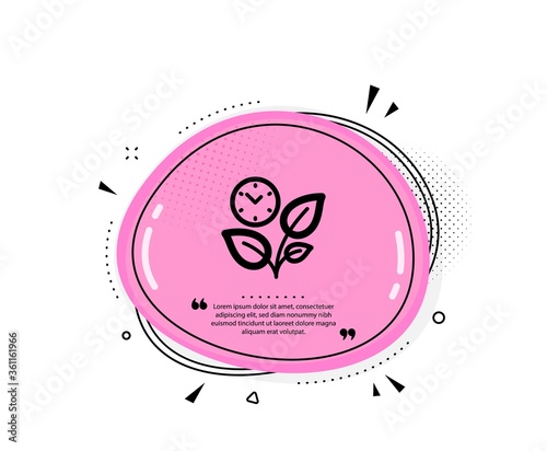 Leaves icon. Quote speech bubble. Grow plant leaf sign. Environmental care symbol. Quotation marks. Classic leaves icon. Vector