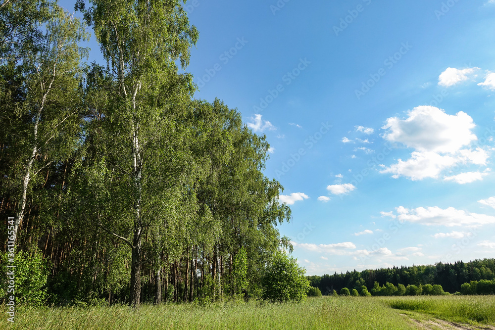 Beautiful summer landscape. Blue sky with clouds. Field with green grass Beautiful summer landscape. Blue sky with clouds. Field with green grass