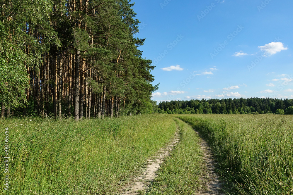Summer landscape with green grass, road and clouds Summer landscape with green grass, road and clouds