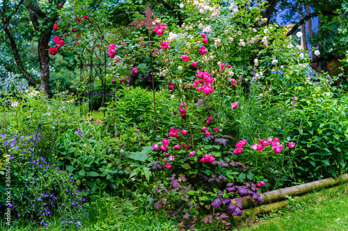 paradiesischer, üppig blühender Sommergarten mit Rosen (Ghislaine de Feligonde, Strauchrose Angela, New Dawn Rouge, Climbing Iceberg/Schneewittchen), alte Rosen photo