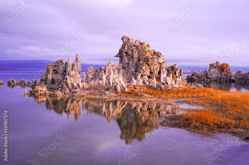 Fototapeta Naklejka Na Ścianę i Meble -  Early morning reflection of salt tufas in Mono Lake
