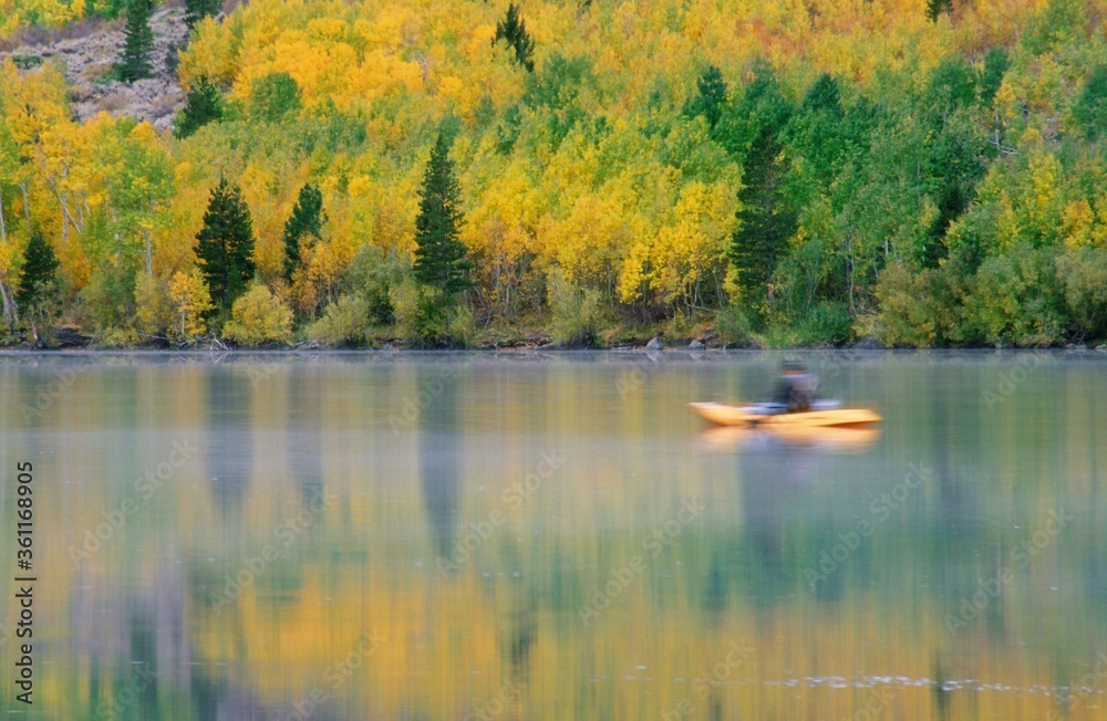 Kayaking on calm, Silver Lake, during Autumn with yellow and green trees in the background 