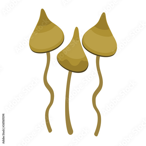Hallucinogenic magic mushrooms. Simple flat vector illustration.