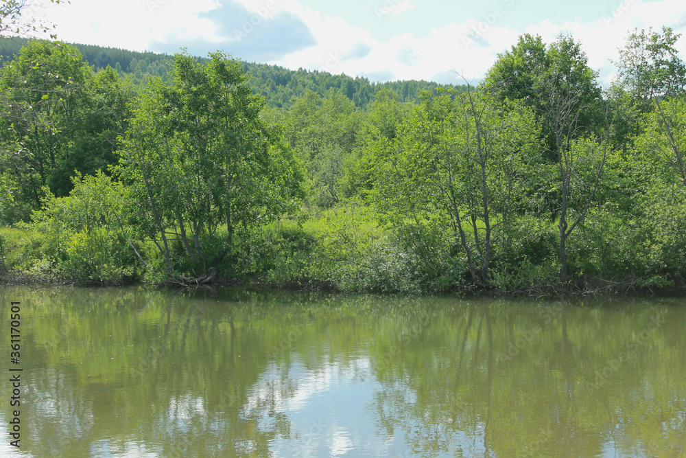 lake in the forest