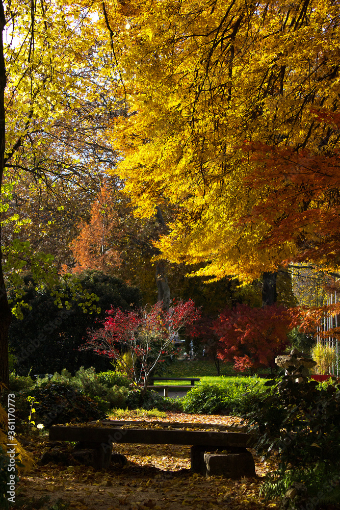 bench in autumn bright warm colors trees of city park bench in autumn bright warm colors trees of city park