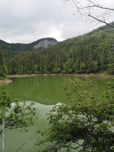 Fototapeta Naklejka Na Ścianę i Meble -  Green lake in the mountains -Summer landscape with lake and trees 