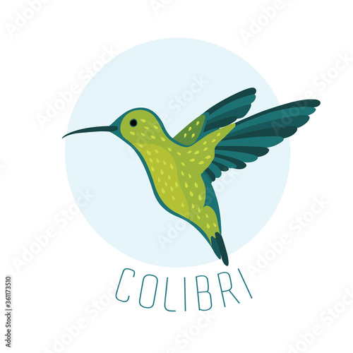 Vector illustration of colibri or hummingbird on blue.