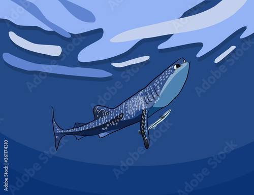 whale shark with remora fish vector photo