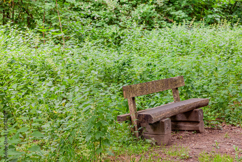 Bench of wooden planks on the side of a footpath surrounded by greenery with green foliage in the forest with a blurred background, cloudy morning in South Limburg, Netherlands