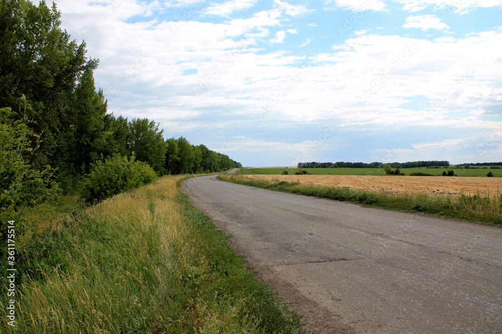 country road in the countryside
