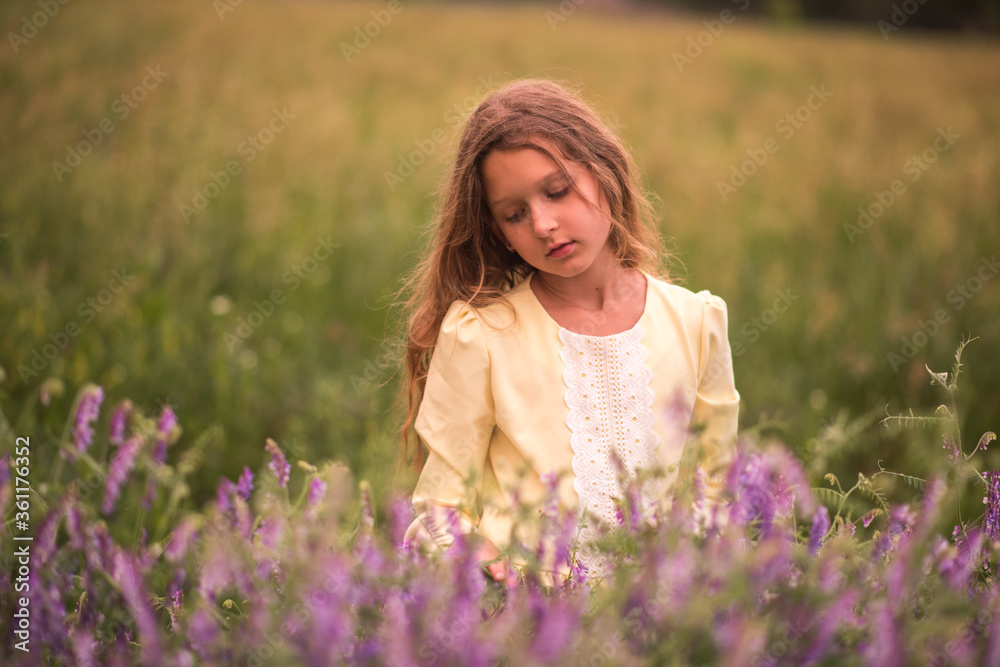 Beautiful girl at sunset in a field with purple flowers. Lavender. The child walks and travels. Rest and games. Long haired girl Beautiful girl at sunset in a field with purple flowers. Lavender. The child walks and travels. Rest and games. Long haired girl